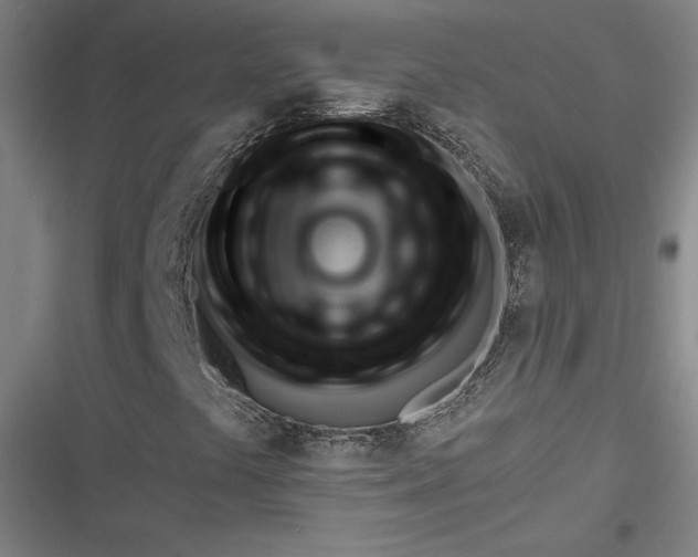 X0000116651441201001111219