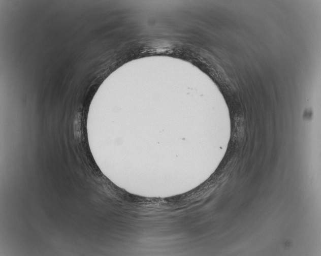 X0000116651442201001111219