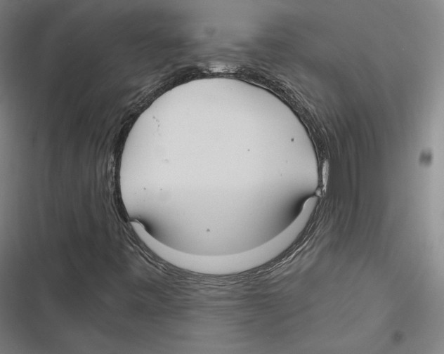 X0000116651443201001111219