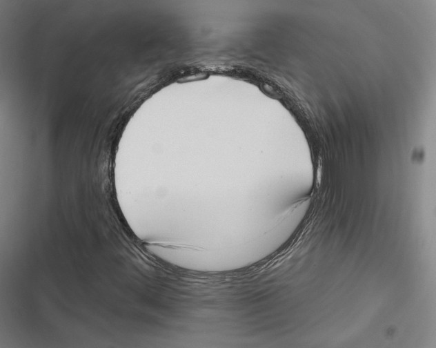 X0000116651444201001111219