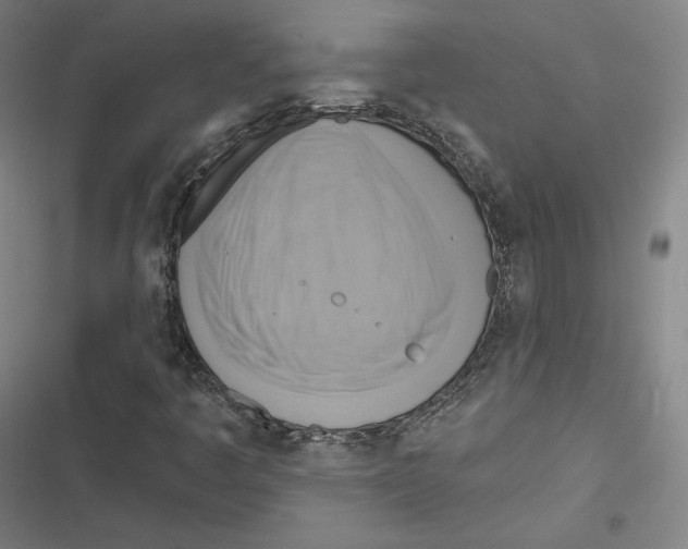 X0000116651445201001111219