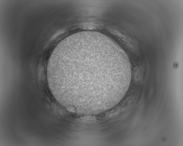 X0000116651446201001111219