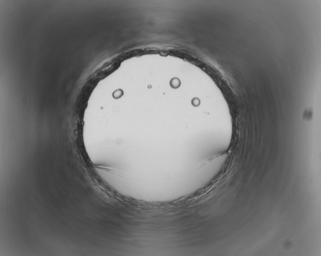 X0000116651448201001111219