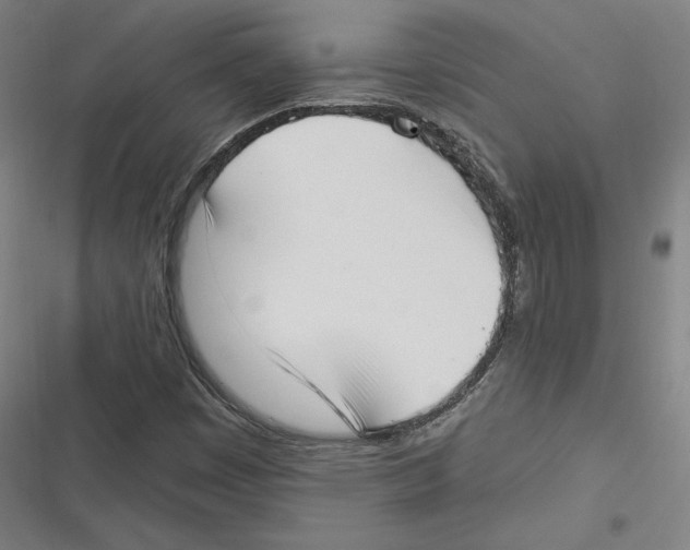 X0000116651449201001111219