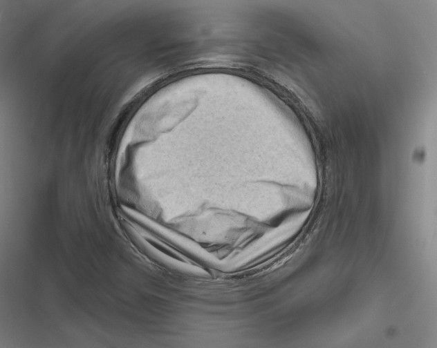 X0000116651450201001111219