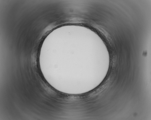 X0000116651451201001111219