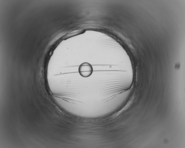 X0000116651453201001111219