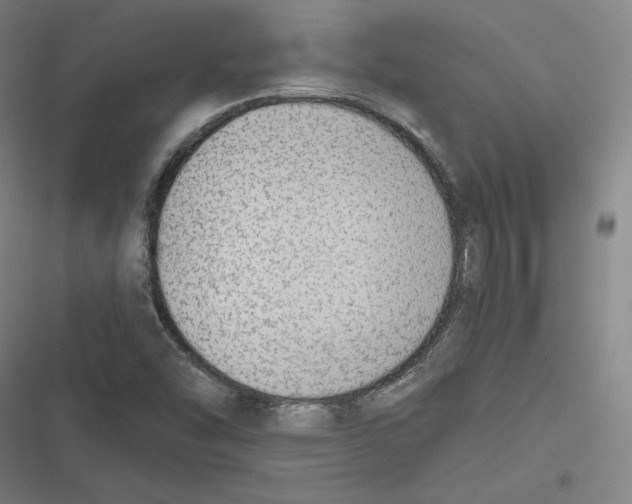 X0000116651454201001111219