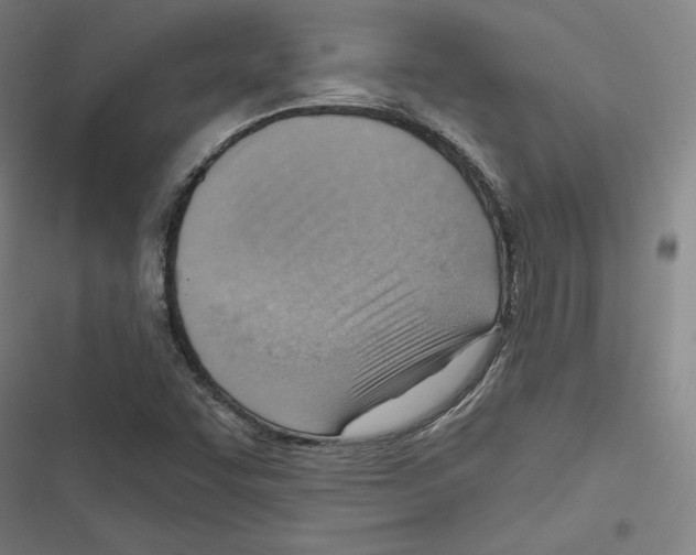 X0000116651455201001111219