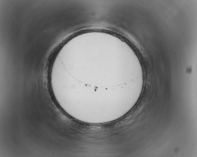 X0000116651456201001111219