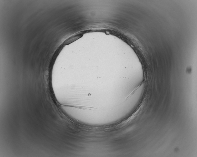 X0000116651457201001111219