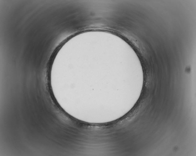 X0000116651458201001111219