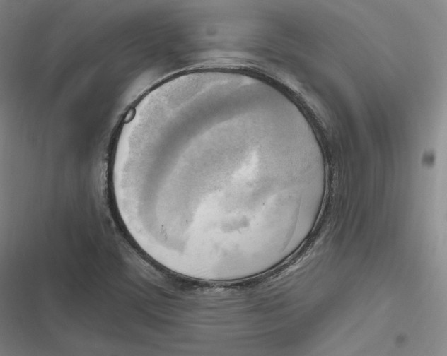 X0000116651459201001111219