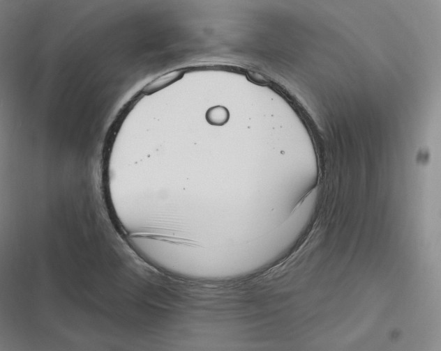 X0000116651460201001111219