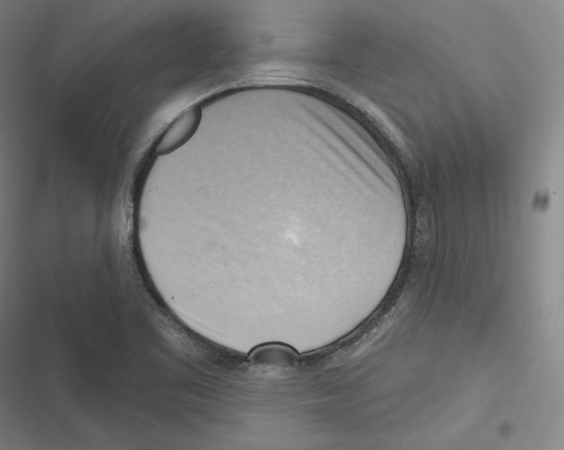 X0000116651461201001111219