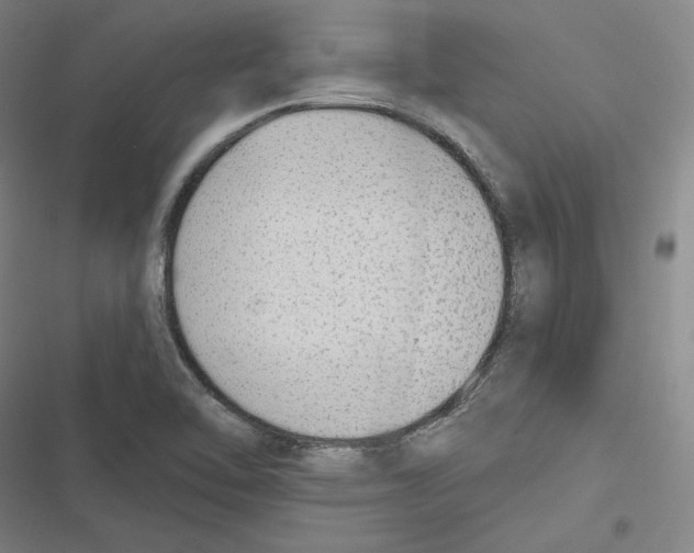 X0000116651462201001111219