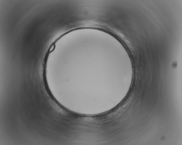 X0000116651463201001111219