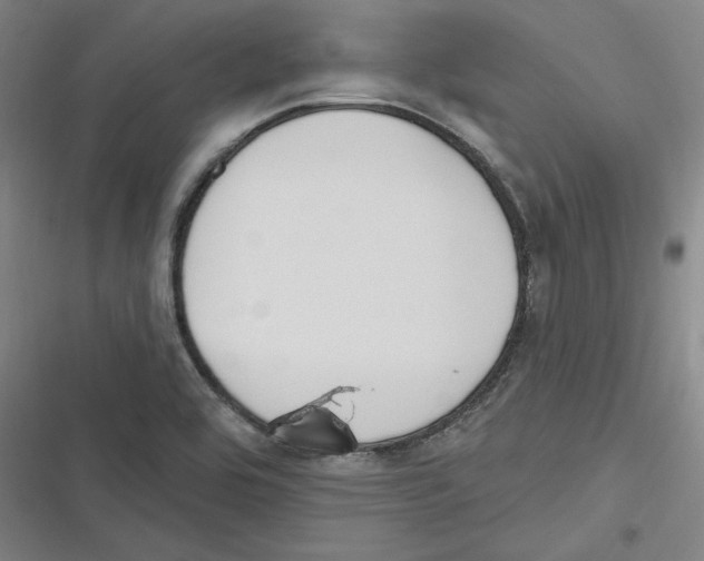 X0000116651464201001111219