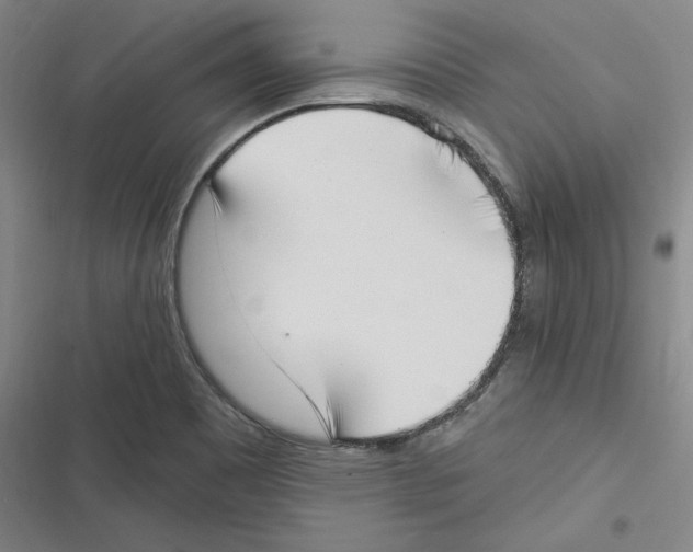 X0000116651465201001111219