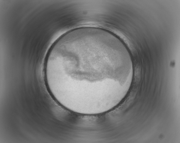 X0000116651466201001111219