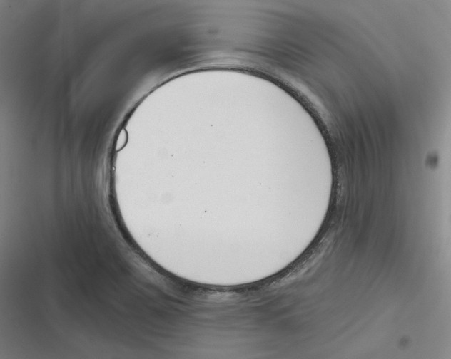 X0000116651467201001111219