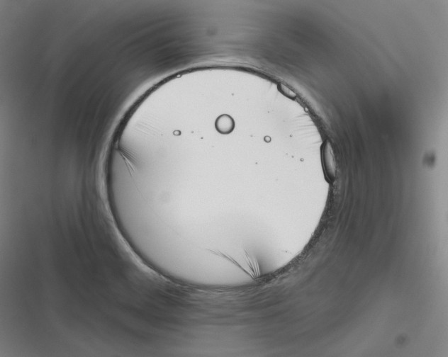 X0000116651468201001111219