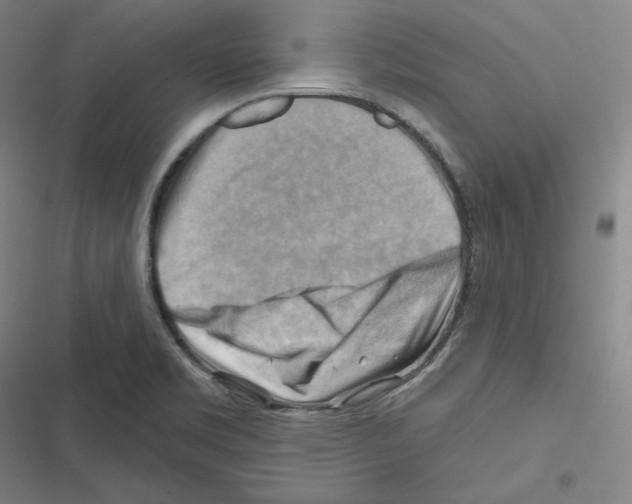 X0000116651469201001111219