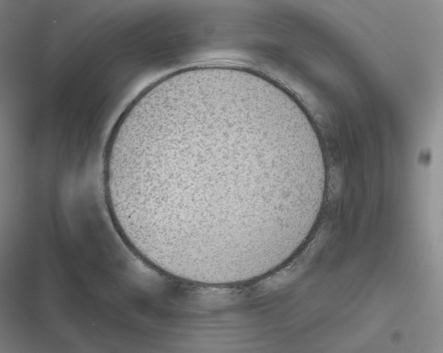 X0000116651470201001111219