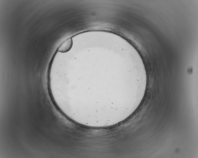 X0000116651471201001111219