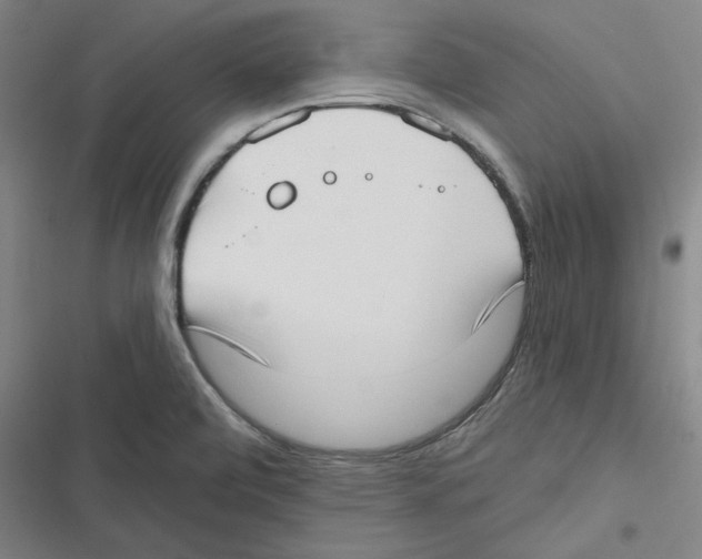 X0000116651472201001111219