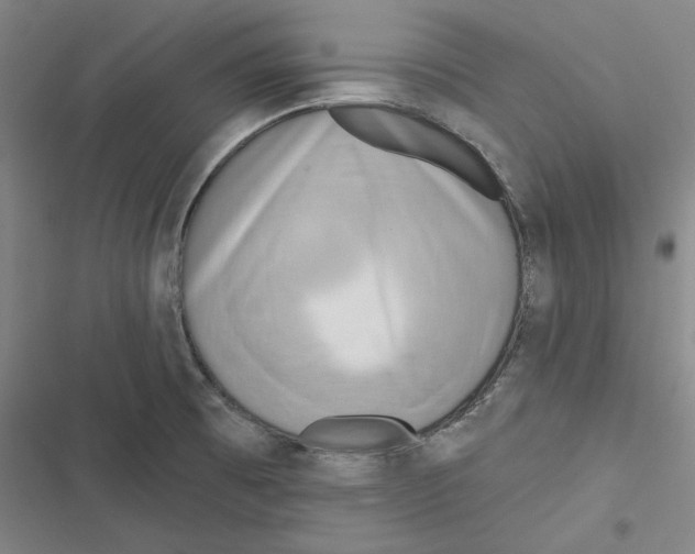 X0000116651473201001111219