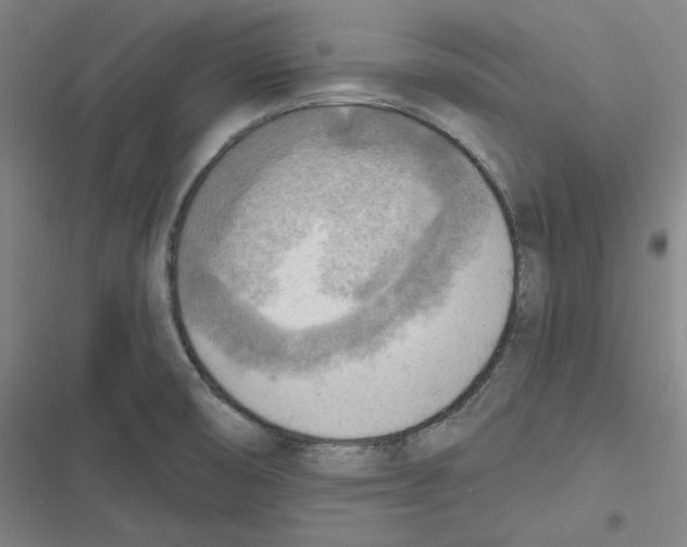 X0000116651474201001111219