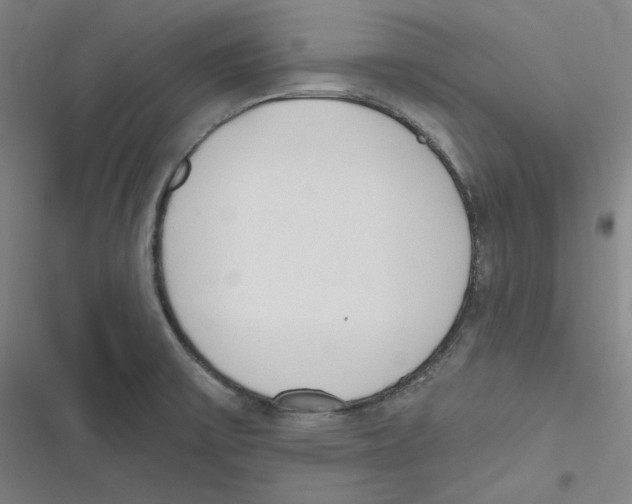 X0000116651475201001111219