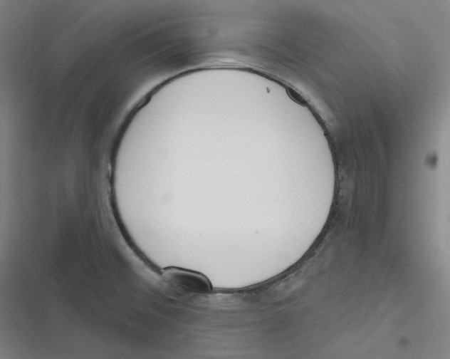 X0000116651476201001111219