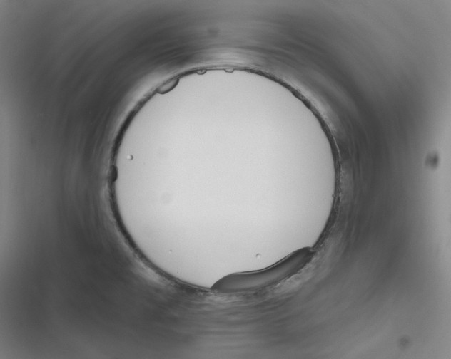 X0000116651477201001111219