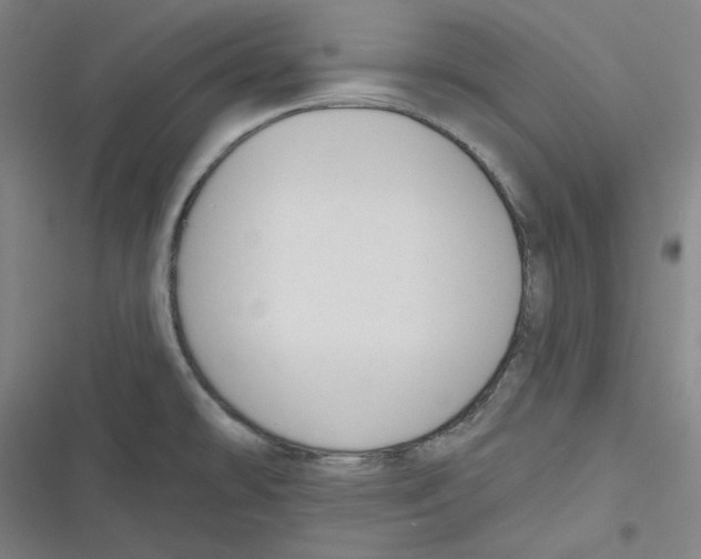 X0000116651478201001111219