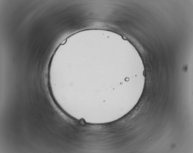 X0000116651479201001111219