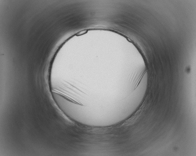 X0000116651480201001111219