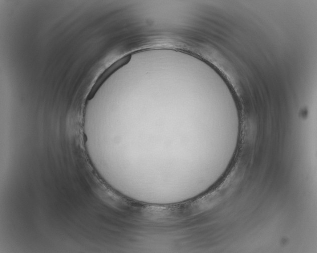 X0000116651481201001111218