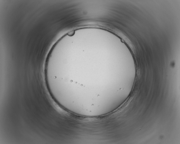 X0000116651482201001111218