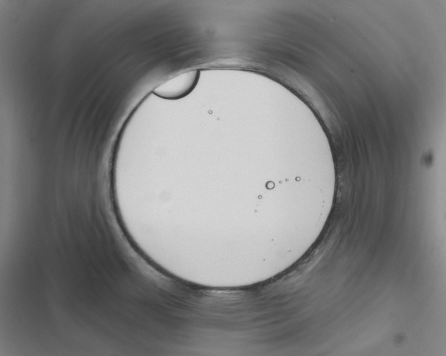 X0000116651483201001111218