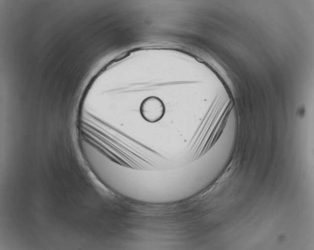 X0000116651485201001111218