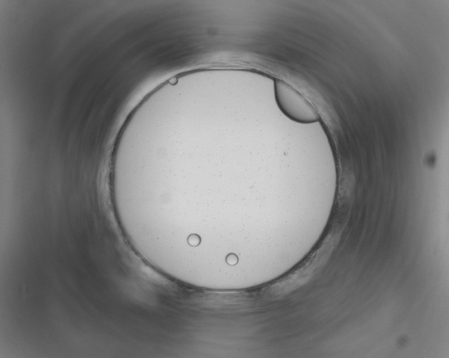 X0000116651486201001111218