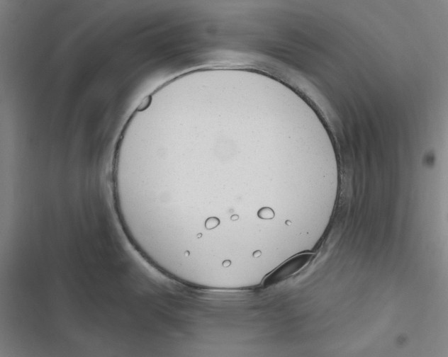 X0000116651487201001111218