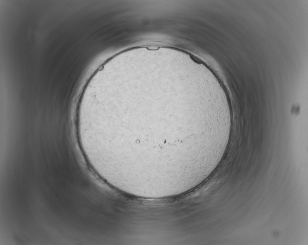 X0000116651488201001111218