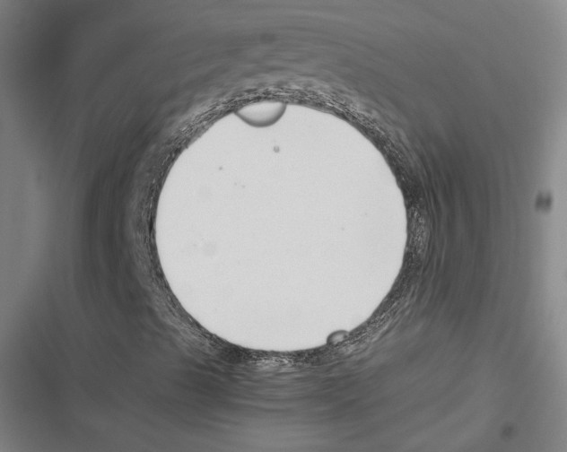 X0000116651489201001111218