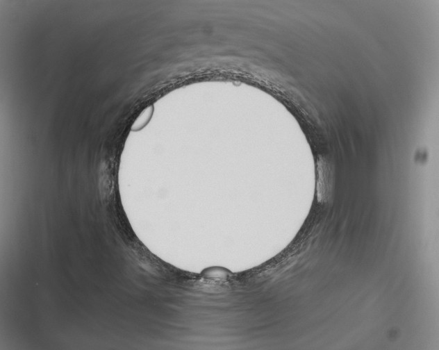 X0000116651491201001111218