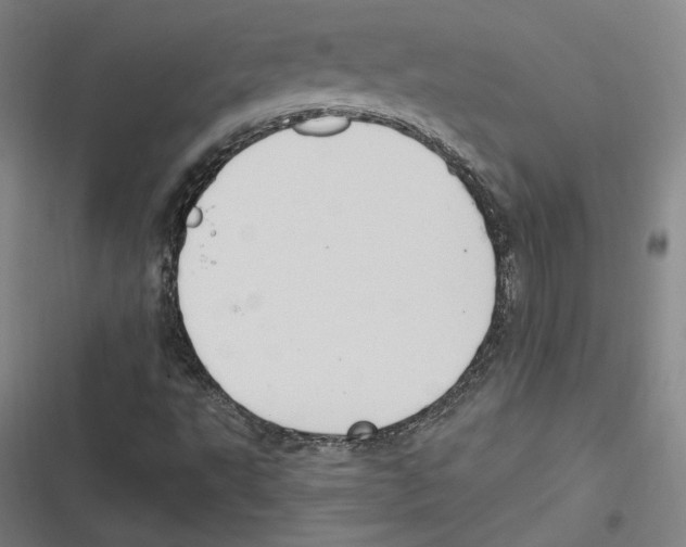 X0000116651495201001111218