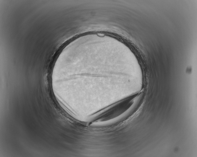 X0000116651497201001111218