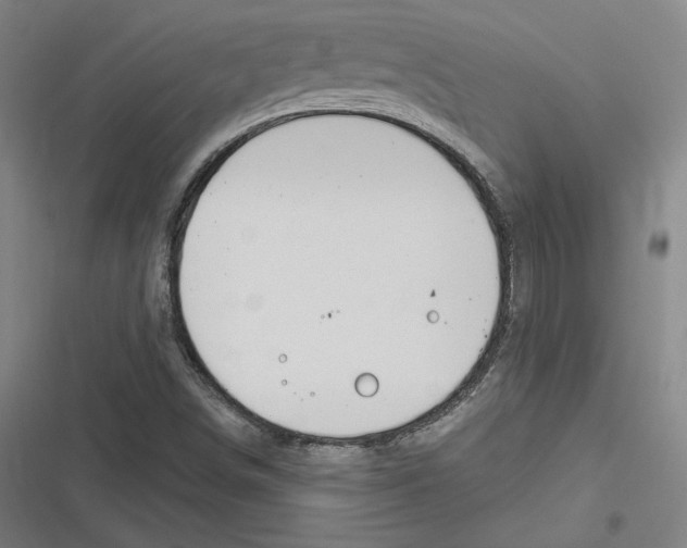 X0000116651498201001111218